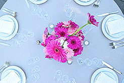 LOVE IN BLOOM AT WISTERIA HALL